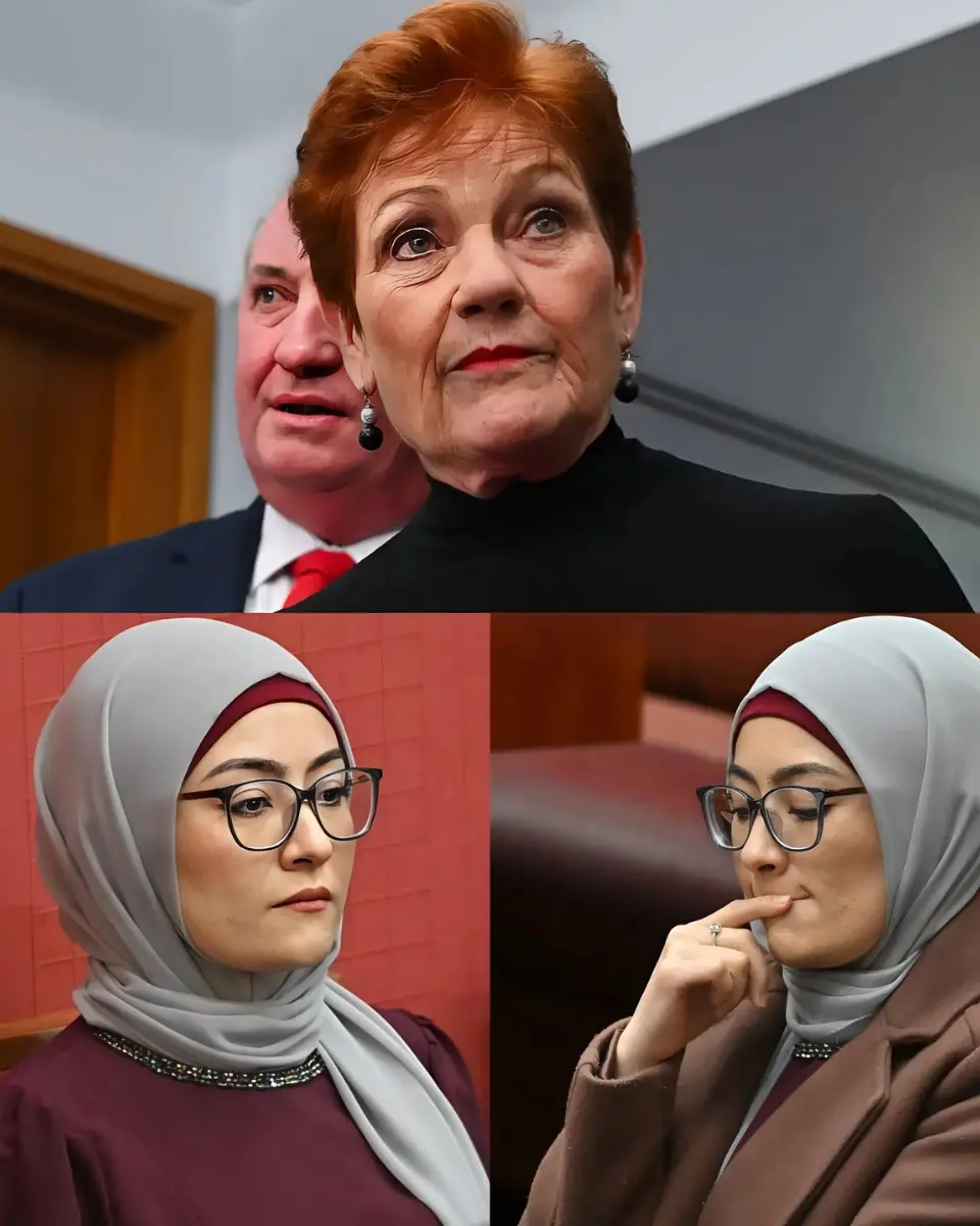 “SH0CKING BREAKING NEWS”: PAULINE HANSON’S LETHAL B0MBSHELL ATOMIZES THE ESTABLISHMENT!