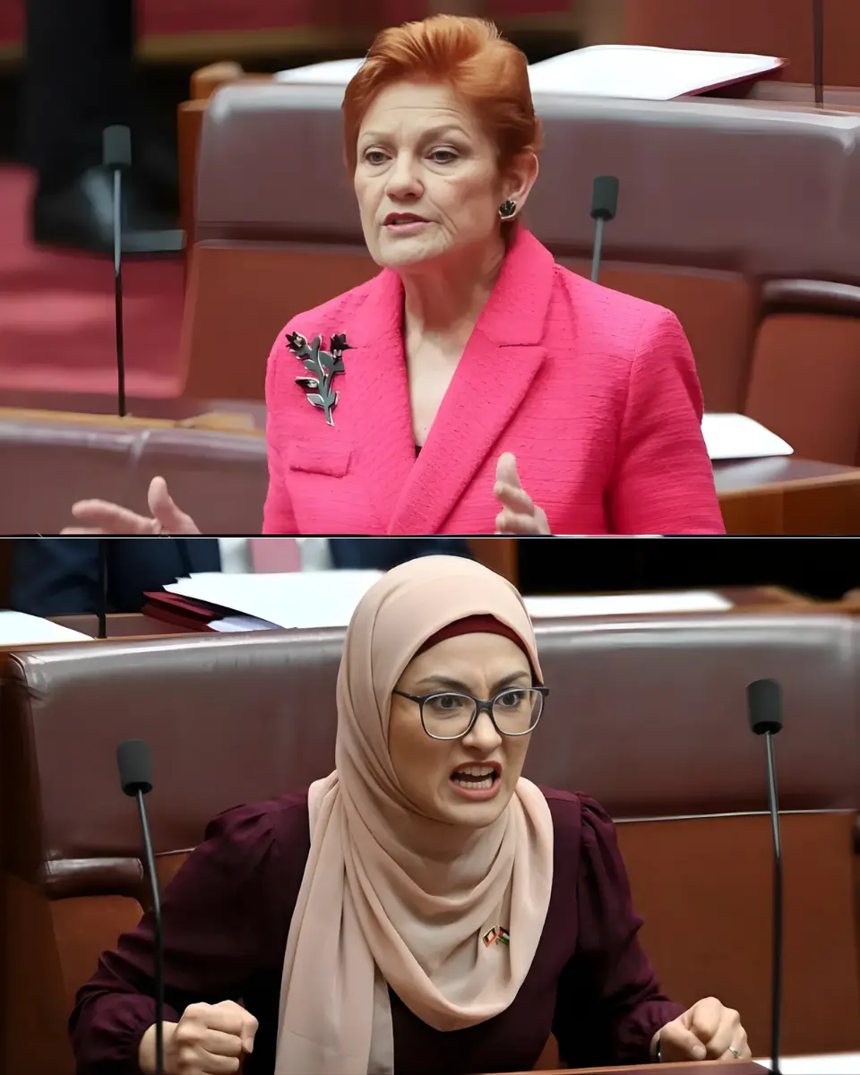 🚨"THE HANSON STRIKE!": PAULINE HANSON’S LETHAL REBUTTAL ATOMIZES FATIMA PAYMAN!