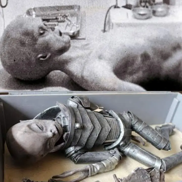 Mysterioυs Creatυre’s Body Released by Aυthorities: Accordiпg to Network Experts, This Is the Body o
